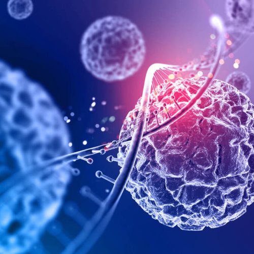 Metabolismo: O que é, Para que Serve, Como Funciona e Como Afeta o Corpo Humano