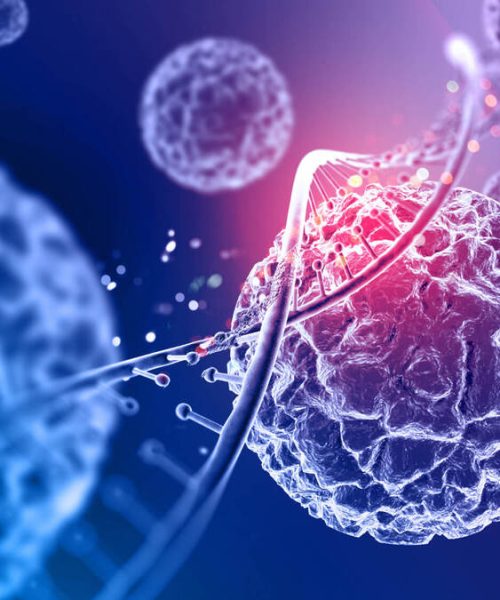 Metabolismo: O que é, Para que Serve, Como Funciona e Como Afeta o Corpo Humano