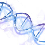 “Pele de borboleta”: entenda os desafios da epidermólise bolhosa e a importância do cuidado diário