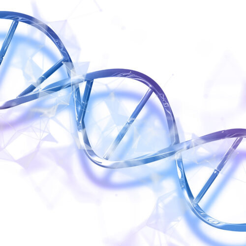 “Pele de borboleta”: entenda os desafios da epidermólise bolhosa e a importância do cuidado diário