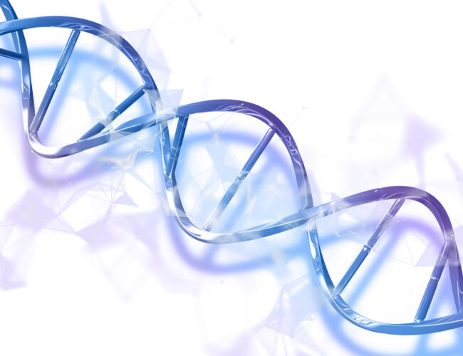 “Pele de borboleta”: entenda os desafios da epidermólise bolhosa e a importância do cuidado diário