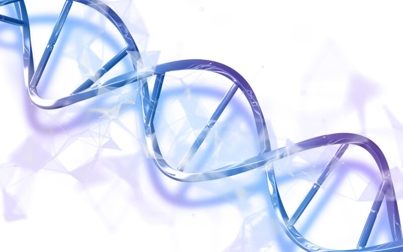 “Pele de borboleta”: entenda os desafios da epidermólise bolhosa e a importância do cuidado diário