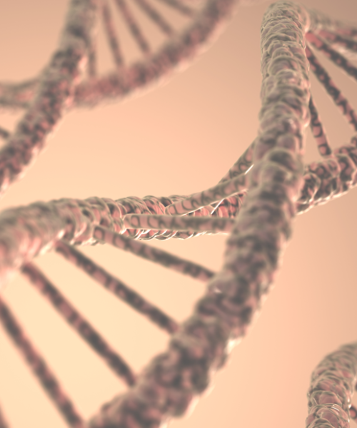 Sociedade Brasileira de Mastologia (SBM) alcança vitória inédita  para incluir teste genético de câncer de mama no SUS