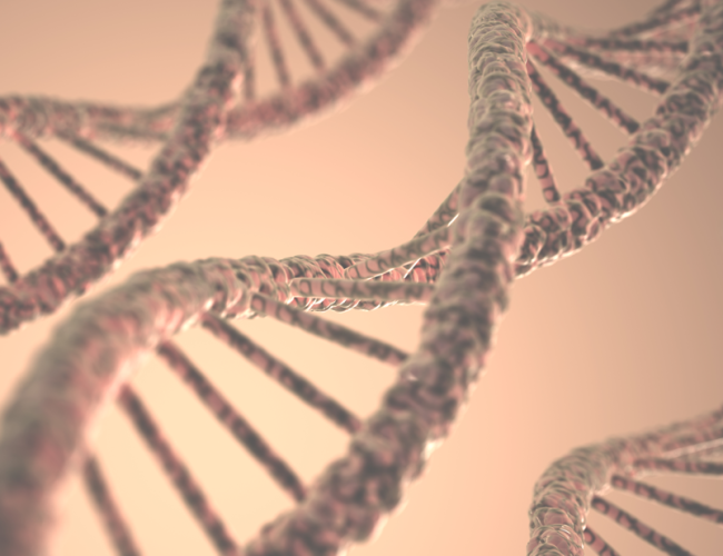 Sociedade Brasileira de Mastologia (SBM) alcança vitória inédita  para incluir teste genético de câncer de mama no SUS