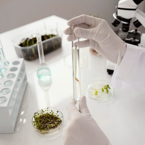 Parceria entre Cannect e FoliuMed lançam projeto que avança na tratamento baseado em protocolos científicos para tratamento de dor com THC