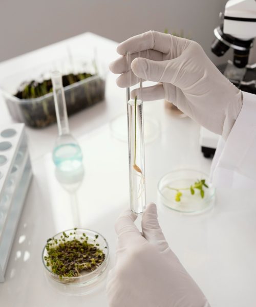 Parceria entre Cannect e FoliuMed lançam projeto que avança na tratamento baseado em protocolos científicos para tratamento de dor com THC