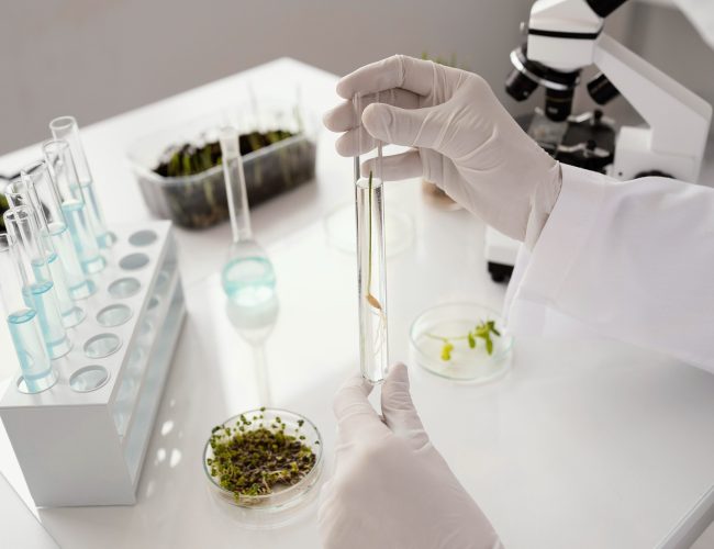 Parceria entre Cannect e FoliuMed lançam projeto que avança na tratamento baseado em protocolos científicos para tratamento de dor com THC