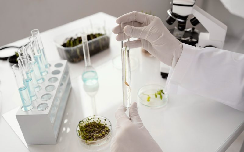 Parceria entre Cannect e FoliuMed lançam projeto que avança na tratamento baseado em protocolos científicos para tratamento de dor com THC