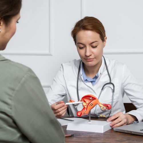 Ciclo menstrual: 3 formas de acompanhar e entender melhor o seu corpo
